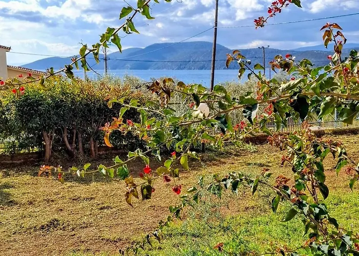 Anasa House Apartmán *