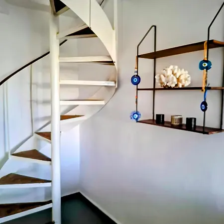 Anasa House *